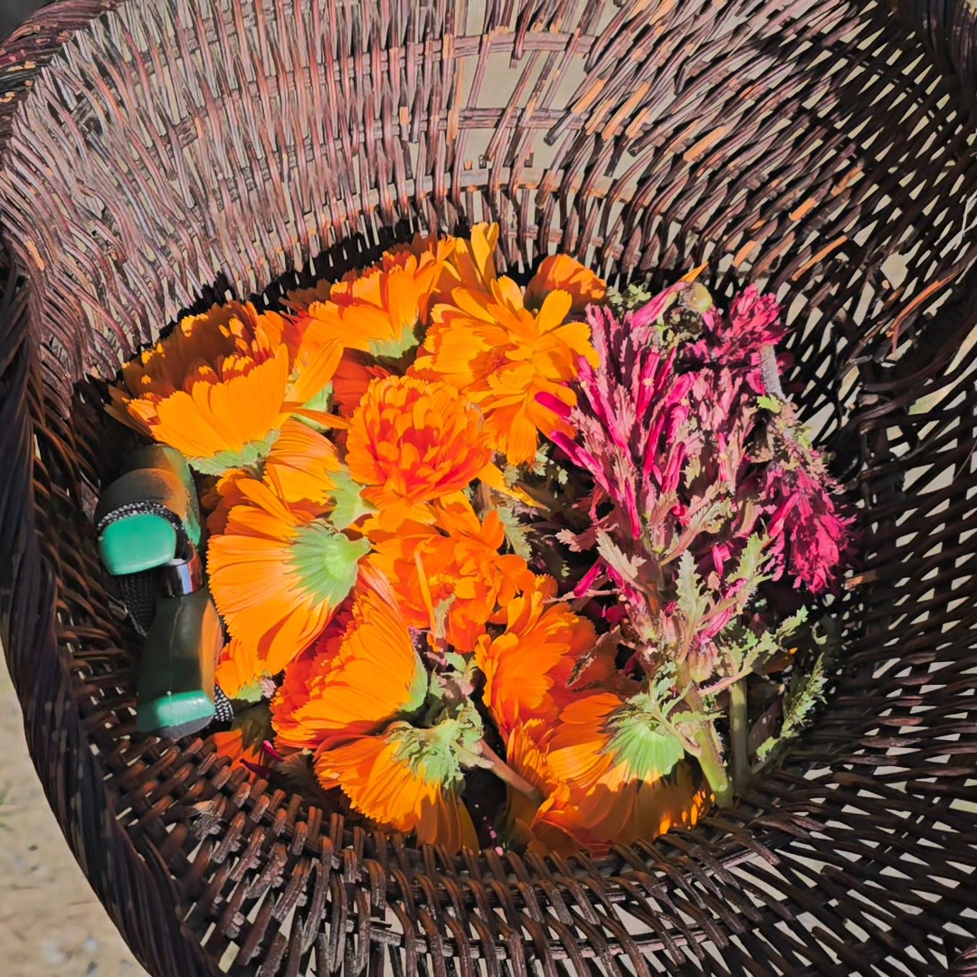 Flower Basket