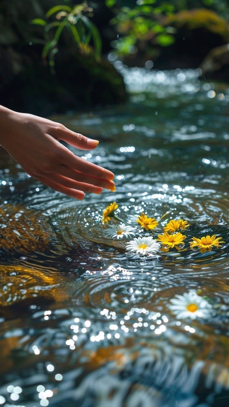Hand Placing Flowers in Water